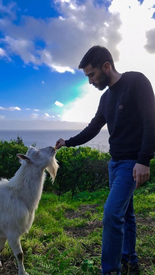 Quinta Do Caminho Da Igreja Ter-Casas De Campo فيلاس المظهر الخارجي الصورة